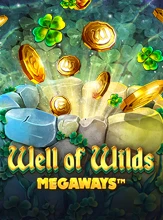 Well of Wilds Megaways DNT